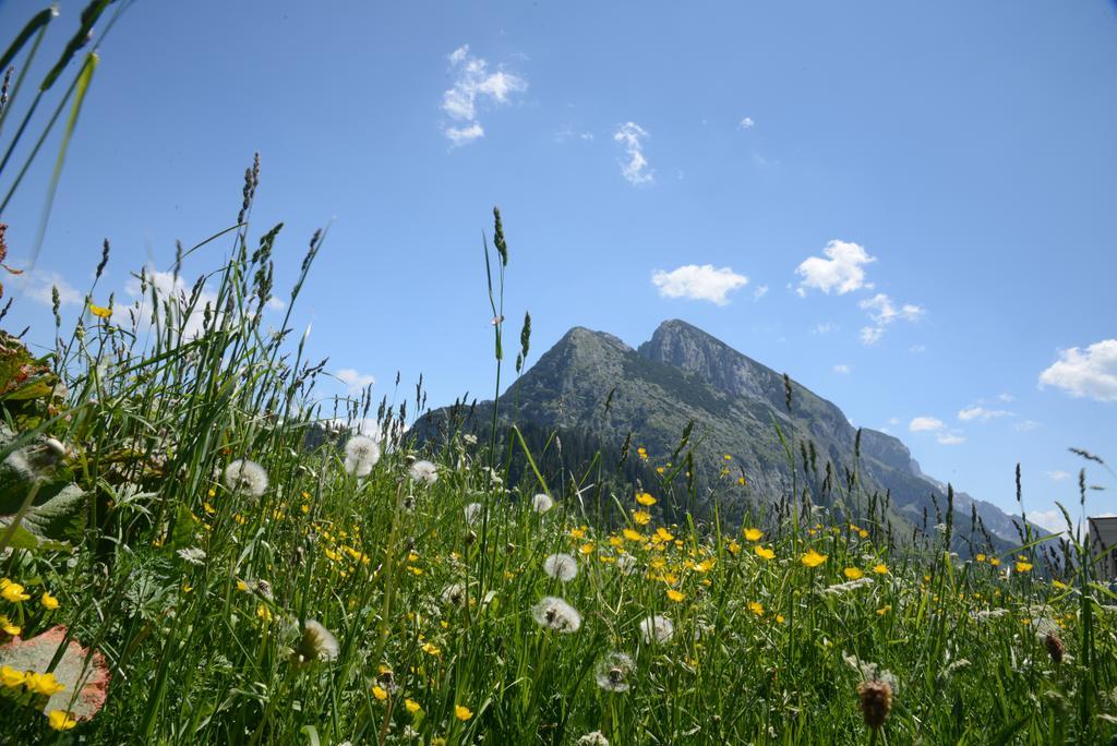 Der Alpenblick Hotell Sankt Johann im Pongau Exteriör bild